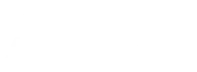 The Flight Attendant