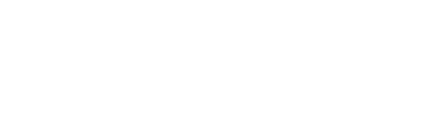 The Next 365 Days