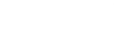 Silver Skates
