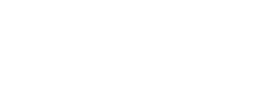 The Wedding Planner