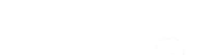 Bicycle Thieves